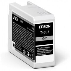 Epson UltraChrome Pro 10 ink T46S7 Ink c hind ja info | Tindiprinteri kassetid | hansapost.ee