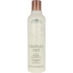 Šampoon Aveda Rosemary Mint, 250 ml hind ja info | Aveda Parfüümid, lõhnad ja kosmeetika | hansapost.ee