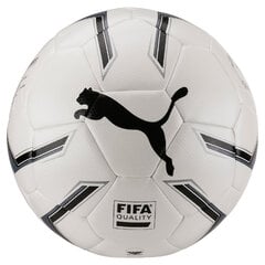 Jalgpall Puma Elite 2.2 Fusion hind ja info | Jalgpalli pallid | hansapost.ee
