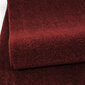 Vaip Ayyildiz Ata Red 7000, 60x100 cm price and information | Vaibad | hansapost.ee