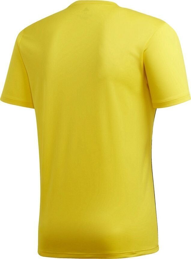 Meeste T-särk Adidas, kollane hind ja info | Jalgpalli varustus ja riided | hansapost.ee