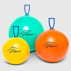 Мяч для прыжков Originalus Pezzi Pon Pon 42cm цена и информация | Гимнастические мячи | hansapost.ee