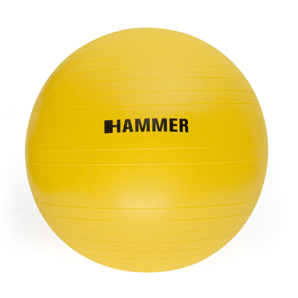 Võimlemispall Hammer 55 cm hind ja info | Võimlemispallid | hansapost.ee