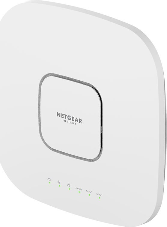 Netgear WAX630-100EUS hind ja info | Juhtmeta pöörduspunktid | hansapost.ee