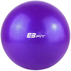 Гимнастический мяч Eb Fit 25 см, фиолетовый цена и информация | Eb fit Спорт, досуг, туризм | hansapost.ee