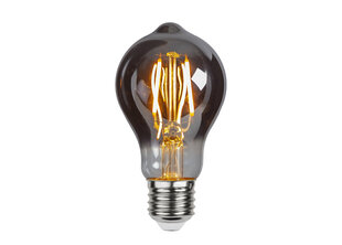 Декоративная светодиодная лампочка E27 2W цена и информация | Лампочки | hansapost.ee