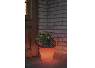 LED valgustusega lillepott hind ja info | Aiavalgustid ja õuevalgustid | hansapost.ee