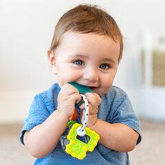 Жевательная игрушка Ключики цена и информация | Игрушки для малышей | hansapost.ee