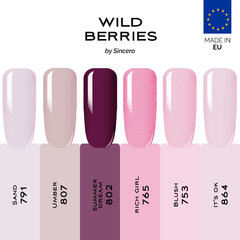 Geellakkide komplekt "Sincero Salon" WILD BERRIES, 6 pcs x 6 ml price and information | Küünelakid ja küünelakieemaldajad | hansapost.ee