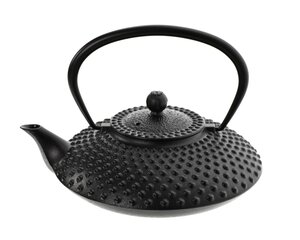 Чугунный заварочный чайник с ситечком, 1,25 л цена и информация | Чайники, кофейники | hansapost.ee