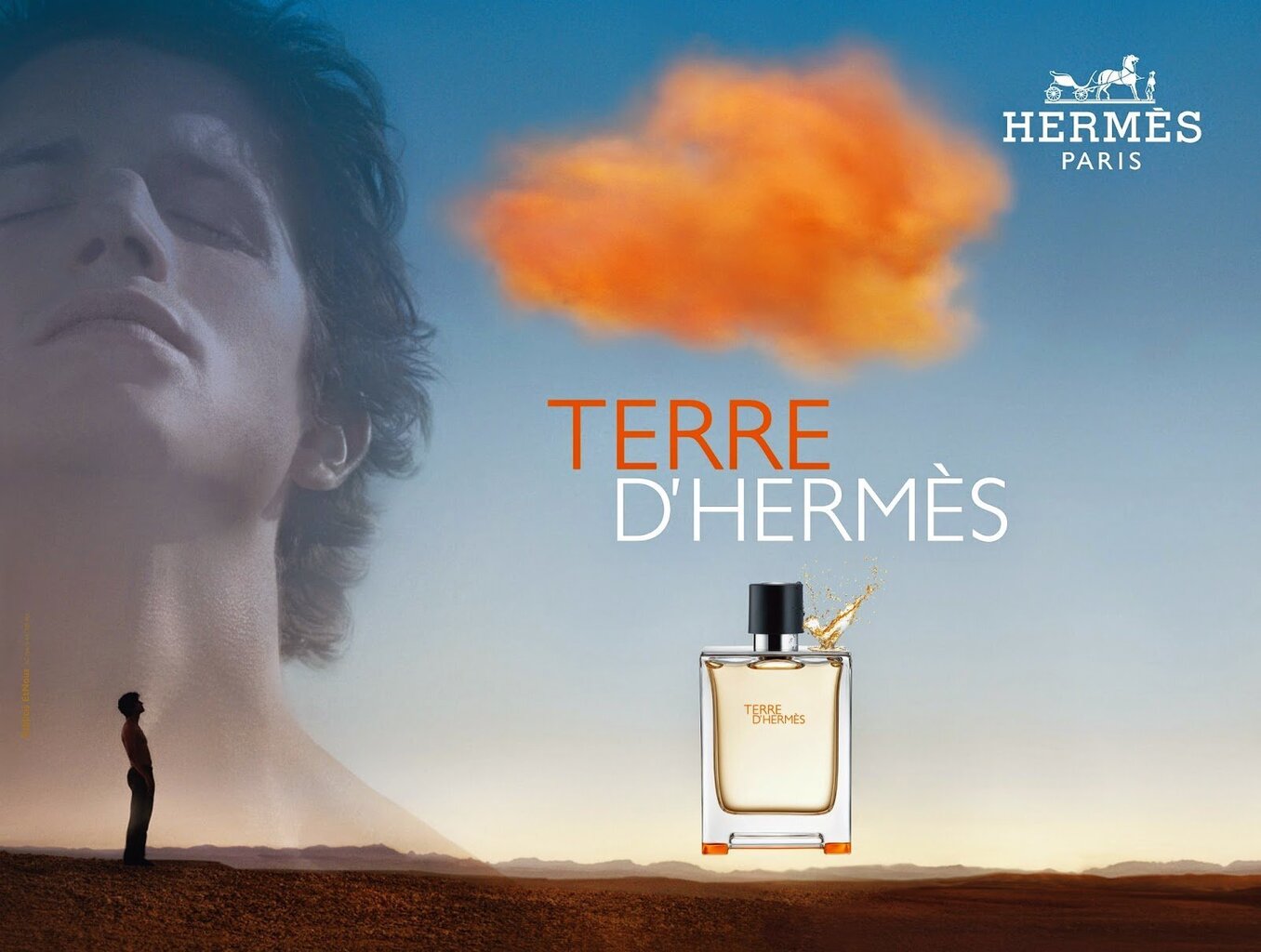 Hermes Terre D'Hermes deodorant meestele 75 ml hind ja info | Dušigeelid ja deodorandid meestele | hansapost.ee