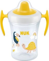 Tass huuliku ja käepidemetega, NUK 751140 Evolution Trainer tass, 230ml цена и информация | Детская посуда, контейнеры для молока и еды | hansapost.ee