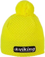 Шапка мужская Viking 215/14/0228/64 цена и информация | Мужские шарфы, шапки, перчатки | hansapost.ee
