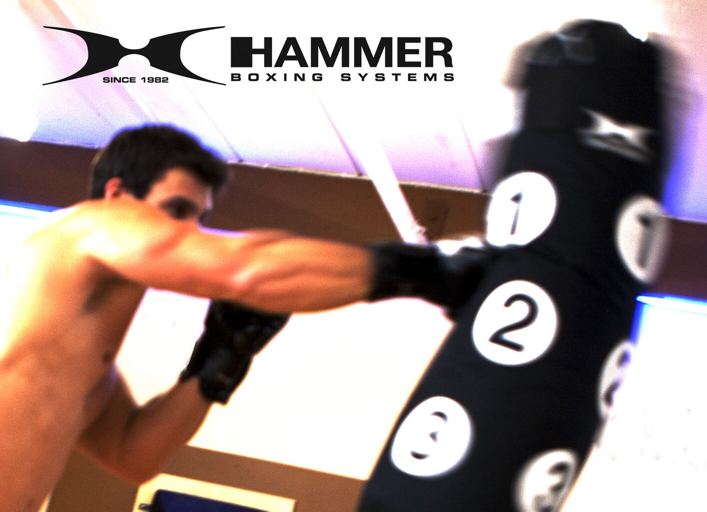 Poksikomplekt Hammer Sparring hind ja info | Poks | hansapost.ee