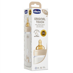 Lutipudel Chicco Original Touch pruun, 4 kuud+, 330ml hind ja info | Lutipudelid ja tarvikud | hansapost.ee