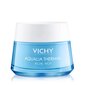 Näokreem kuivale nahale Vichy Aqualia Thermal 50 ml цена и информация | Näokreemid | hansapost.ee