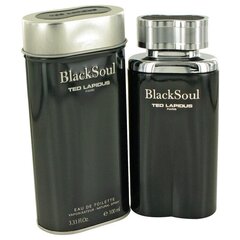 Мужская парфюмерия Black Soul Ted Lapidus EDT: Емкость - 100 ml цена и информация | Мужские духи | hansapost.ee