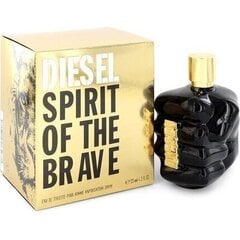 Tualettvesi Diesel Spirit Of The Brave EDT meestele 125 ml hind ja info | Diesel Parfüümid, lõhnad ja kosmeetika | hansapost.ee