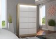 LED valgustusega kapp ADRK Furniture Benisso, tamm / valge цена и информация | Kapid | hansapost.ee