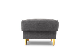 Tumba Cosmopolitan Design Fano, hall/kuldne hind ja info | Kott-toolid, tumbad, järid | hansapost.ee