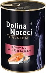 Märgtoit kassidele Dolina Noteci Premium, lõhega, 400g hind ja info | Dolina Noteci Kassid | hansapost.ee