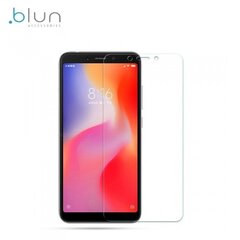 LCD kaitsev karastatud klaas 9H Xiaomi Redmi 6A цена и информация | Защитные пленки для телефонов | hansapost.ee