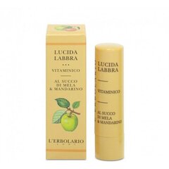 Huulepalsam L'Erbolario Lucida Labbra Vitaminico 4.5 ml hind ja info | Huulekosmeetika | hansapost.ee