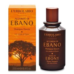 Средство для мытья волос и тела для мужчин L'ERBOLARIO EBONY 250 мл цена и информация | Шампуни | hansapost.ee