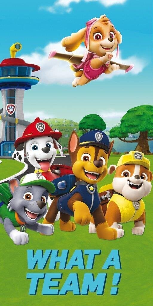 Faro rätik Paw Patrol, 70x140 cm цена и информация | Rätikud ja saunalinad | hansapost.ee