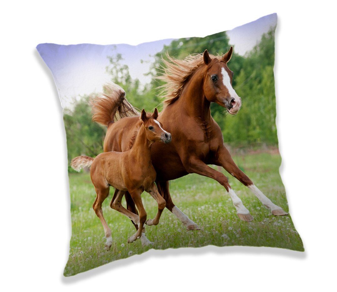 Dekoratiivpadi Horse Brown, 40 x 40 cm hind ja info | Padjakatted ja dekoratiivpadjad | hansapost.ee