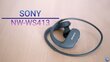 Juhtmevabad kõrvasisesed vee- ja ja tolmukindlad 4GB Sony Walkman® MP3 mängijaga kõrvakalpid, NWWS413B.CEW, must цена и информация | MP3-mängijad, MP4-mängijad | hansapost.ee