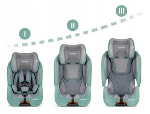 Автокресло с Isofix, Ricokids Qway 9-36 кг, зеленое/серое цена и информация | Автокресла | hansapost.ee