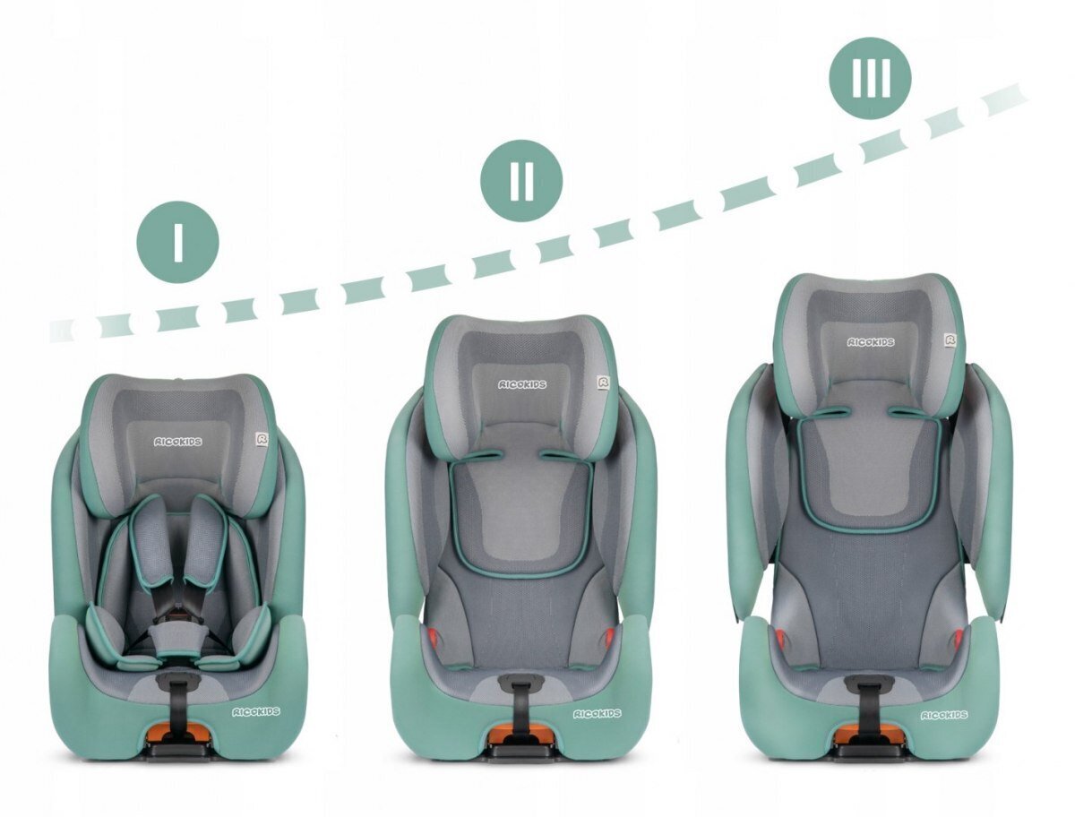 Turvatool koos ISOFIX-iga, RICOKIDS, 9-36kg, green/grey hind ja info | Turvatoolid ja turvahällid | hansapost.ee