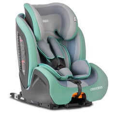 Автокресло с Isofix, Ricokids Qway 9-36 кг, зеленое/серое цена и информация | Автокресла | hansapost.ee