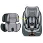 Turvatool koos ISOFIX-iga, RICOKIDS, 9-36kg, grey/black цена и информация | Turvatoolid ja turvahällid | hansapost.ee