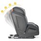 Turvatool koos ISOFIX-iga, RICOKIDS, 9-36kg, grey/black цена и информация | Turvatoolid ja turvahällid | hansapost.ee