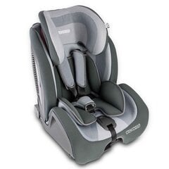 Автокресло с ISOFIX, RICOKIDS, 9-36кг, серый/черный цена и информация | Автокресла | hansapost.ee