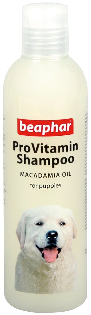 Šampoon kutsikatele makadaamiaõliga Beaphar, 250 ml hind ja info | Karvahoolduseks | hansapost.ee