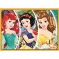 Pusle komplekt Trefl 4 in 1 Disney Princess, 70+54+48+35 hind ja info | Pusled lastele ja täiskasvanutele | hansapost.ee