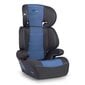 Turvatool RICOKIDS, 15-36kg, blue/black цена и информация | Turvatoolid ja turvahällid | hansapost.ee