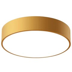 Laevalgusti Classic Gold, 40 cm цена и информация | Потолочные светильники | hansapost.ee