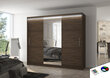 LED valgustusega kapp ADRK Furniture Denis, pruun цена и информация | Kapid | hansapost.ee