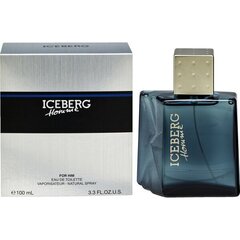 Tualettvesi Iceberg Homme EDT meestele, 100 ml hind ja info | Parfüümid meestele | hansapost.ee