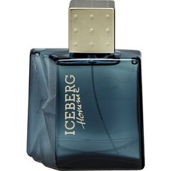 Tualettvesi Iceberg Homme EDT meestele, 100 ml hind ja info | Parfüümid meestele | hansapost.ee