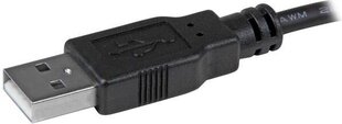 Adapter StarTech MSTDP122DP hind ja info | USB adapterid ja jagajad | hansapost.ee