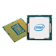 Intel BX8070811700FSRKNR цена и информация | Процессоры (CPU) | hansapost.ee