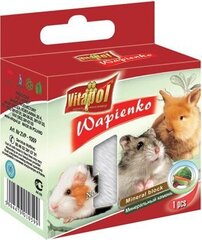  Vitapol минеральный камень для грызунов и кроликов с овощами 40г цена и информация | Корм для грызунов | hansapost.ee