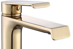 Valamusegisti REA Hass low, Brushed Gold hind ja info | Vannitoa segistid | hansapost.ee