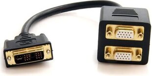 Адаптер StarTech DVISPL1VV DVI-I 2xVGA цена и информация | Адаптеры, USB-разветвители | hansapost.ee