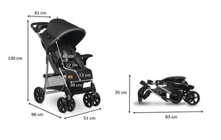 Sportlik jalutuskäru Lionelo Emma Plus, Stone hind ja info | Vankrid, jalutuskärud | hansapost.ee